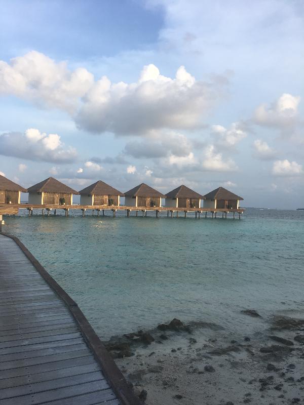 5 star honeymoon experience