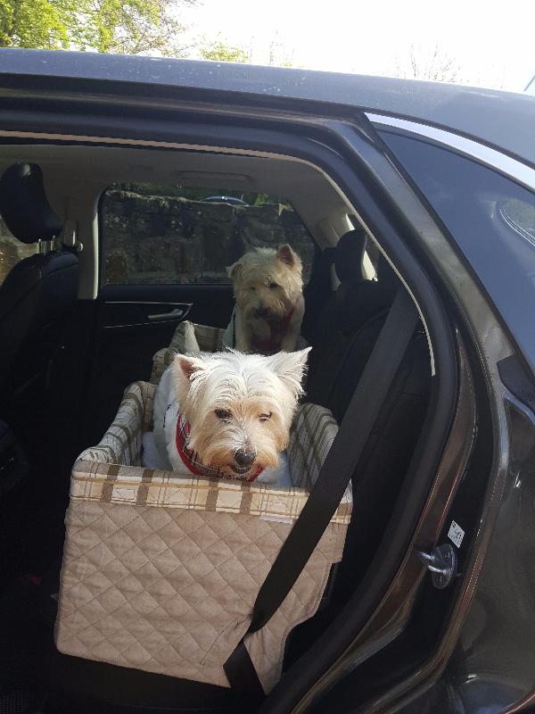 We love our carseats