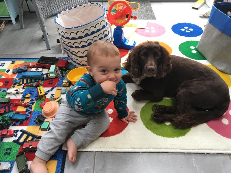 Always prompt delivery and our dog Murphy woofs it down !  It keeps him hal
