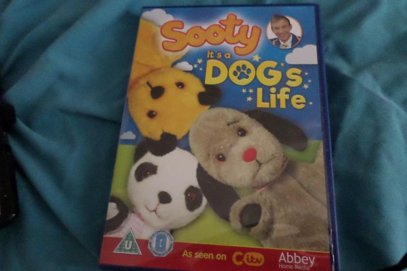 Sooty it.s a dogs life
