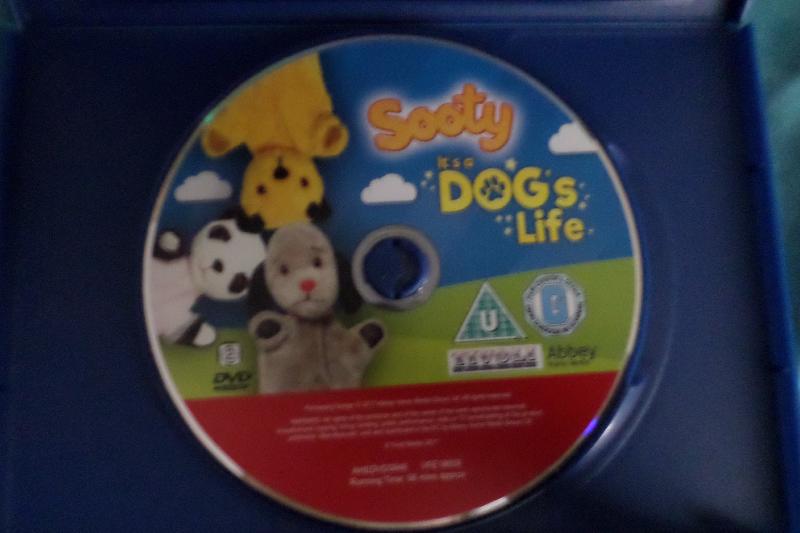 Sooty it.s a dogs life