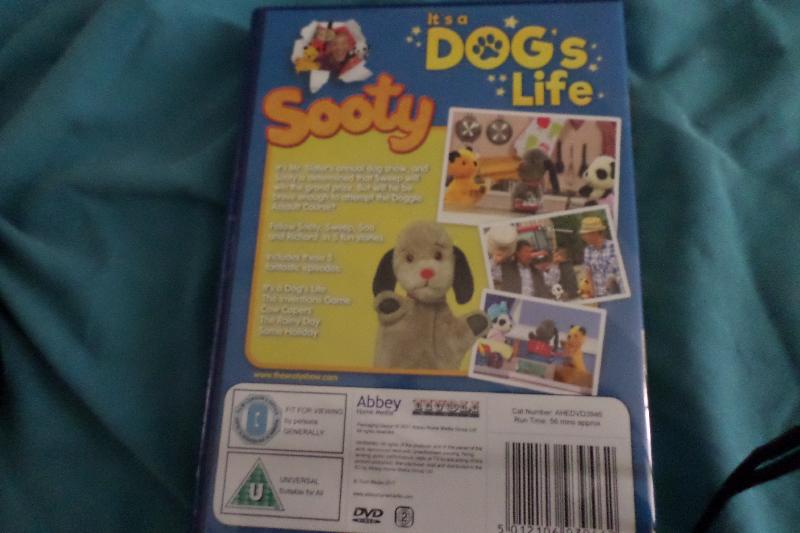 Sooty it.s a dogs life