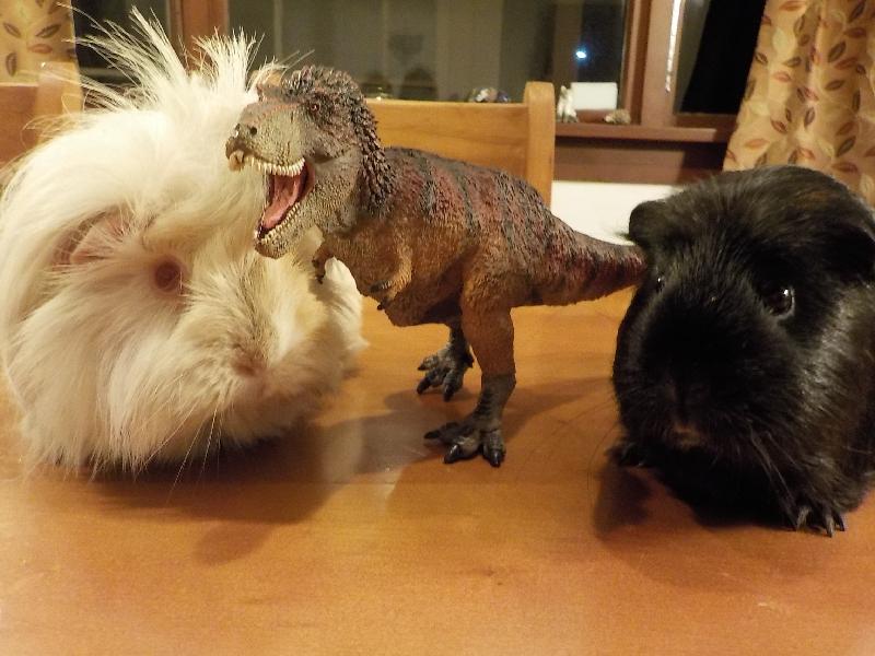 Excellent Dinosaur Shop