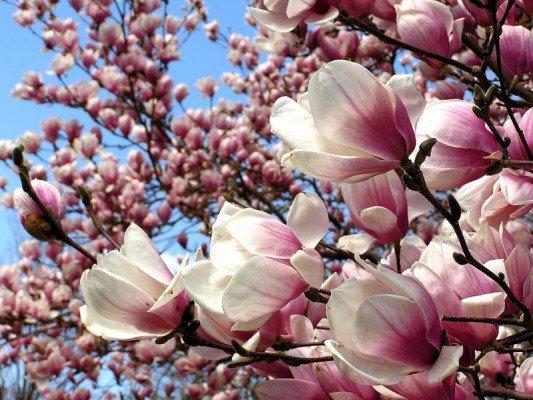 Lorem Ipsum is simply dummy text of the printing and typesetting industry.
