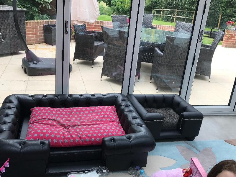 Best dog bed company ever!