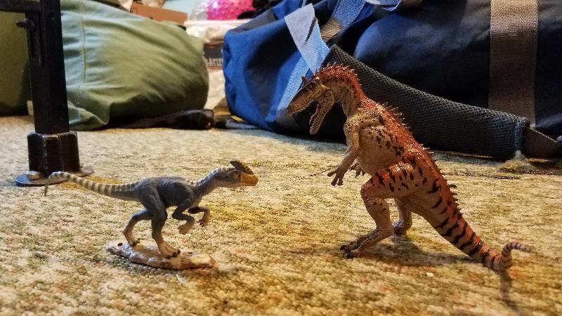 Best company out there for all your dinosaur needs!