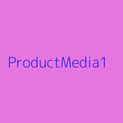 Lorem ipsum dolor sit amet, consectetur adipiscing elit. Etiam eu egestas e