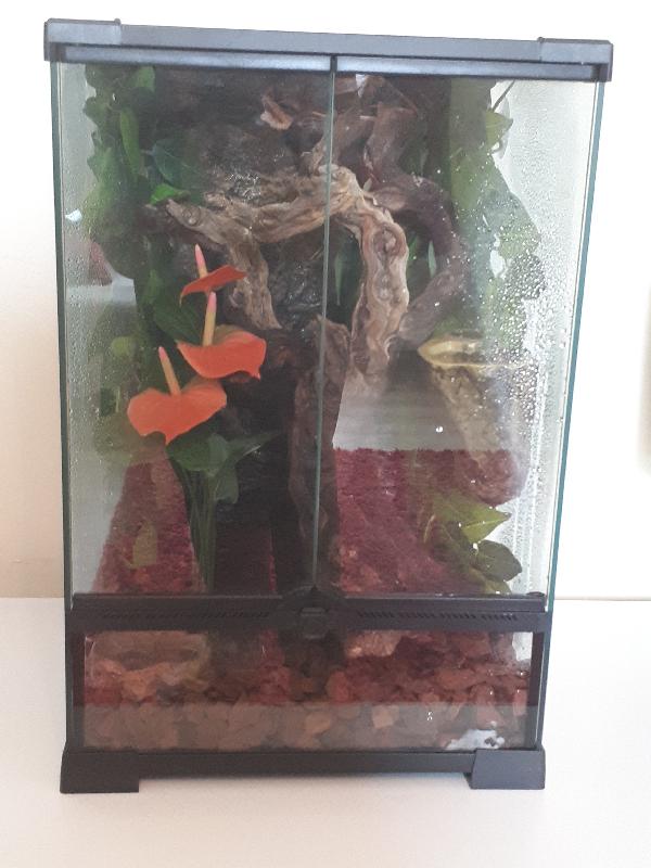 30 x 30 x 45 Swell Terrarium