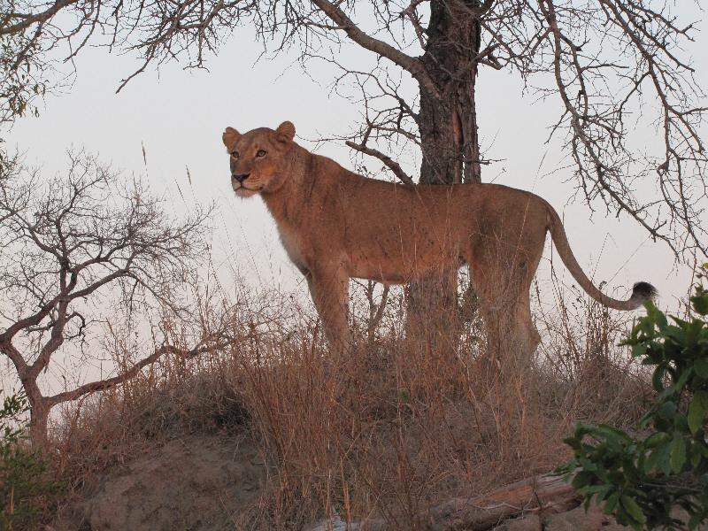 With Go2Africa the client comes first