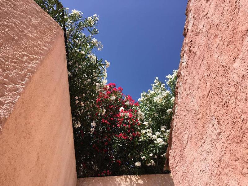 Just Sardinia's expert knowledge meant we had a perfect, relaxing holiday!
