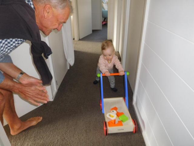 Our wee grandaughter, just One, is enjoying her cart.