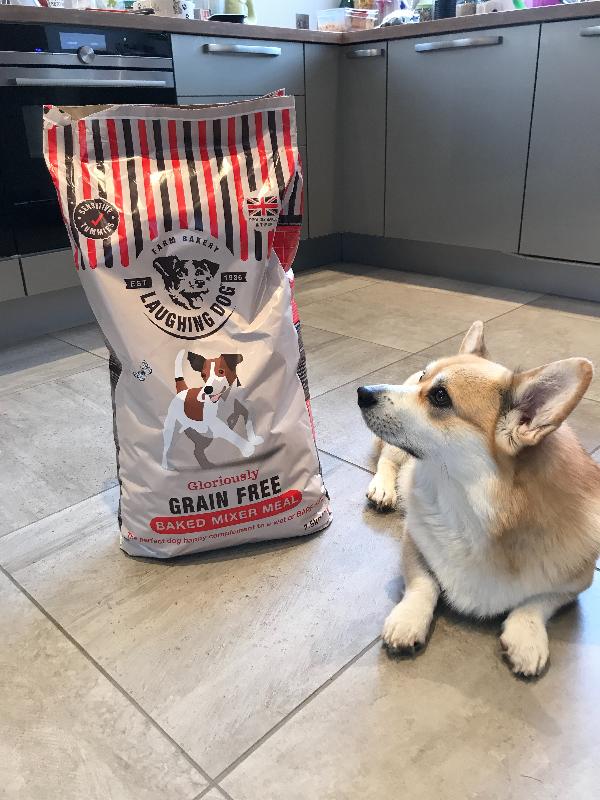 Laughing Dog are brilliant - its not only my dog who's happy!