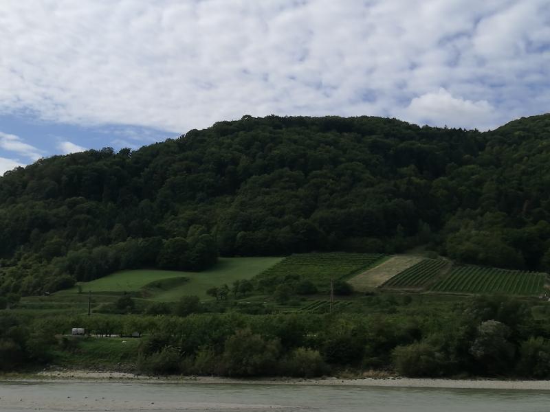 Good Tour and recommend for river cruise.