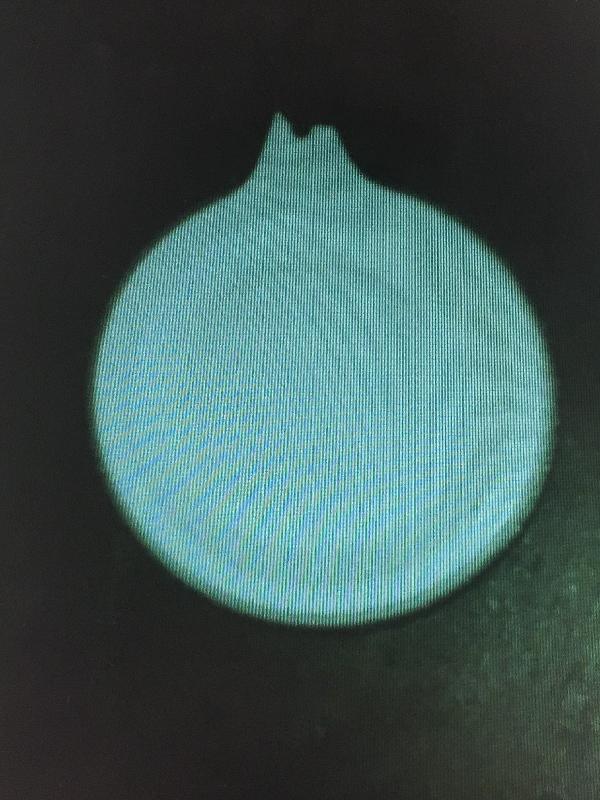 Disappointed for broken item in 2 weeks of purchased.