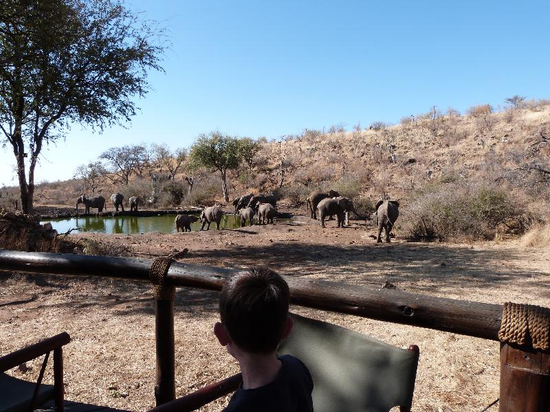Well planned holiday that gave us a great family experience
