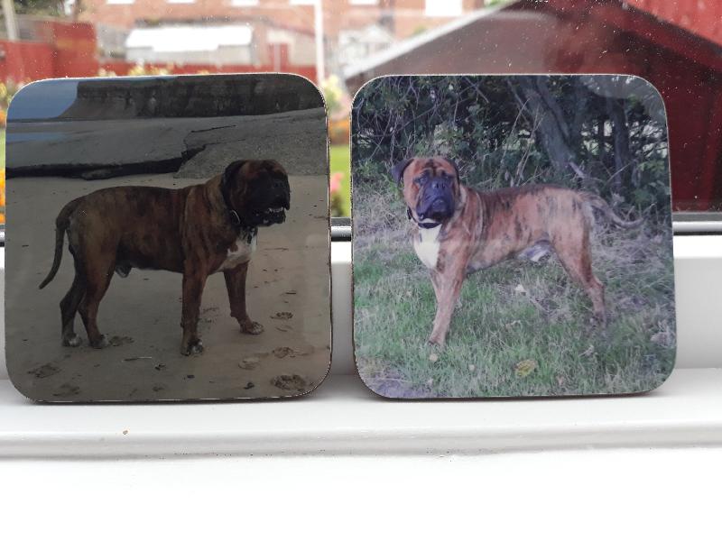 Personalised coasters of a much loved dearly departed  pet