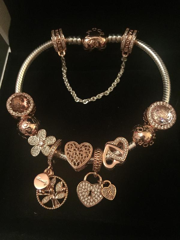 Gorgeous bracelet, complimented by the charms