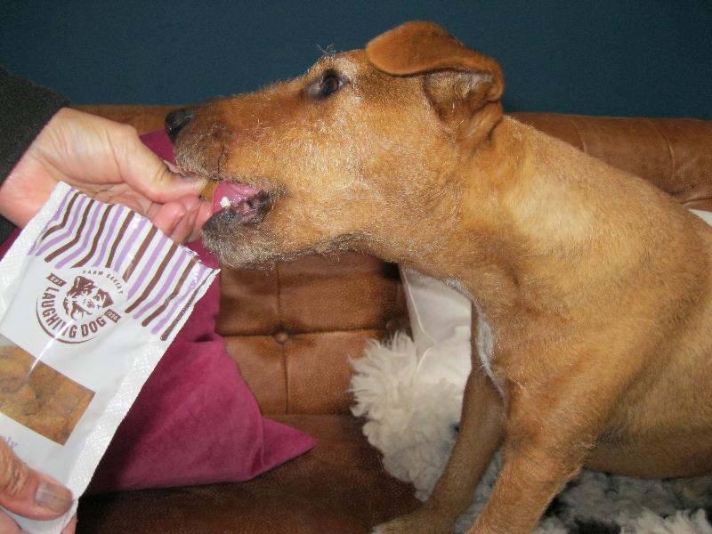 Tasty, healthy crunchy treat........yum yum
