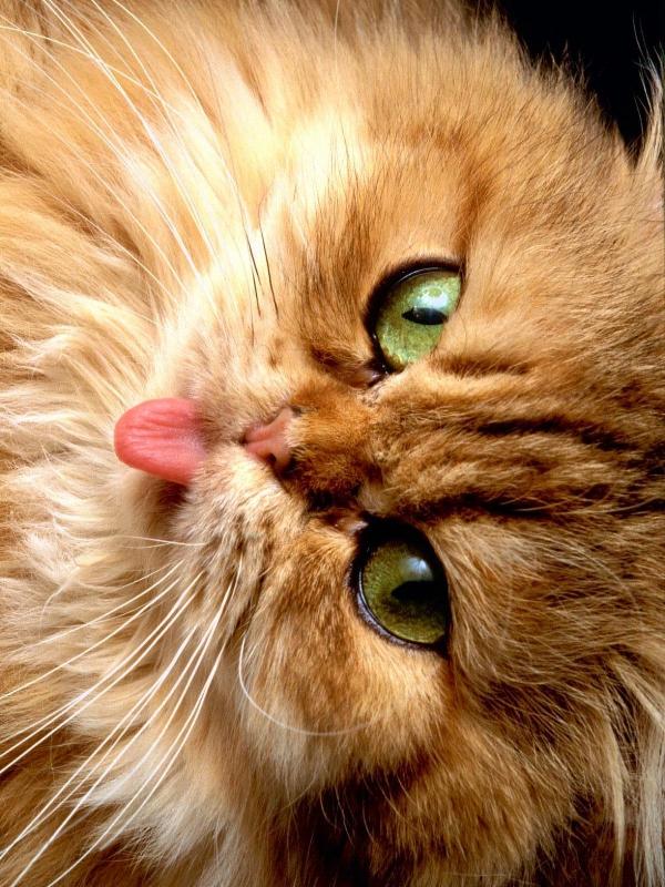 Lorem ipsum dolor sit amet, consectetur adipiscing elit!