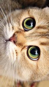 Lorem ipsum dolor sit amet, consectetur adipiscing elit!