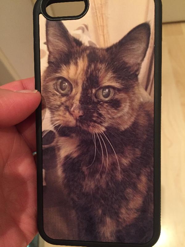 Great phone case