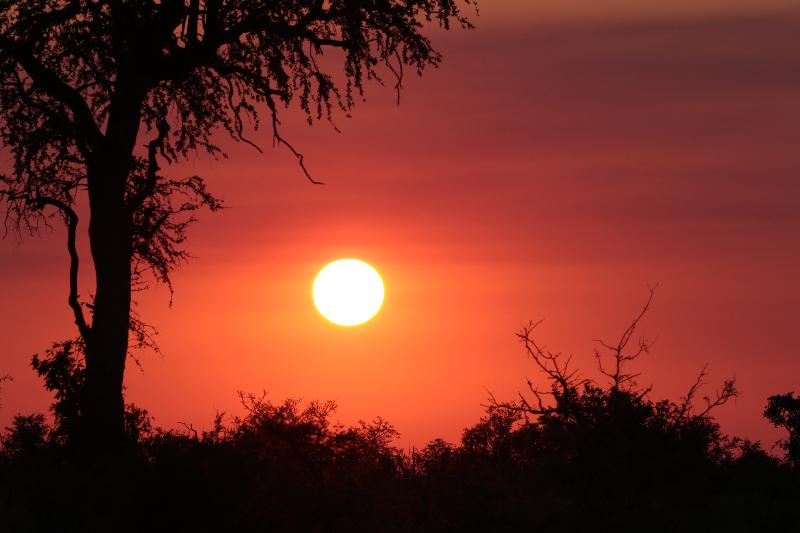 Love safariFRANK, can 't wait to do it all again :)