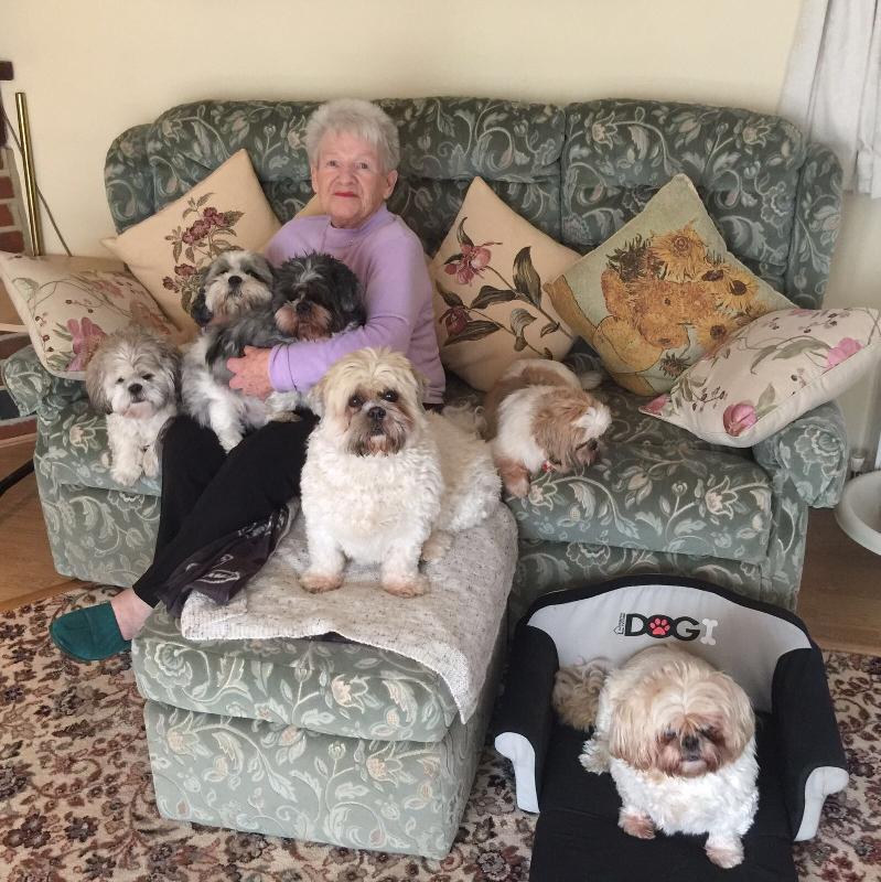 Simply the best for Prescription & all things needed for Pets