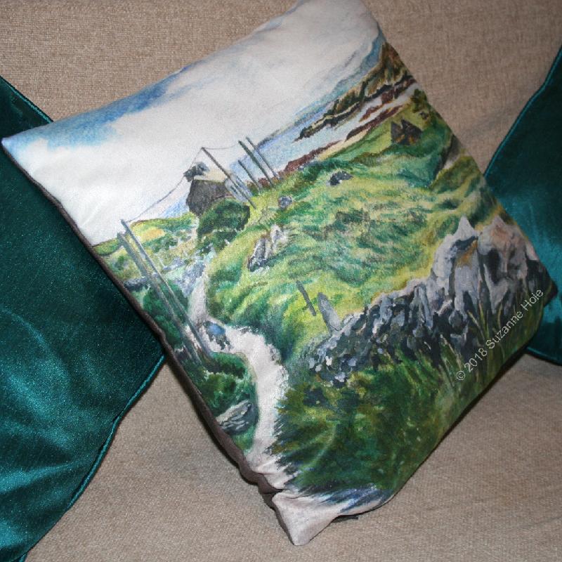 Great quality cushion with colourful and detailed artwork
