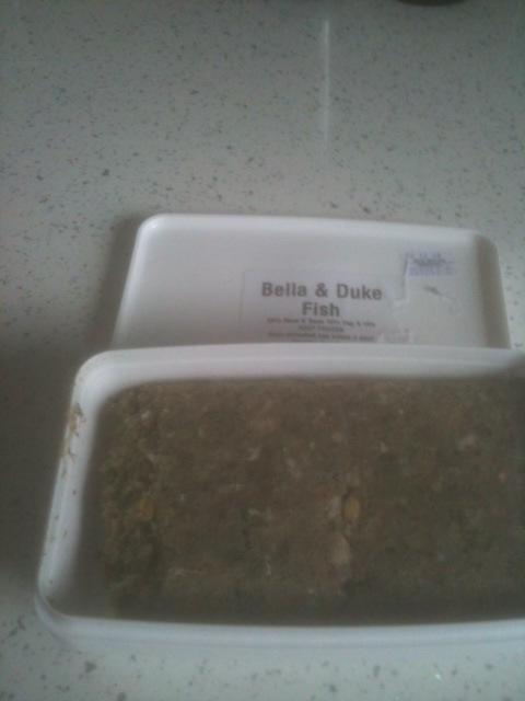 Great food