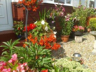 If my plants keep on growing like these Fabulous