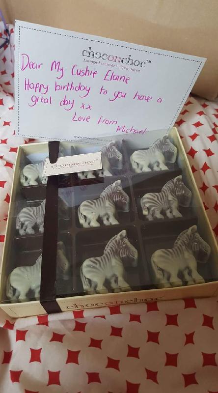 Cushie rules zebras for life