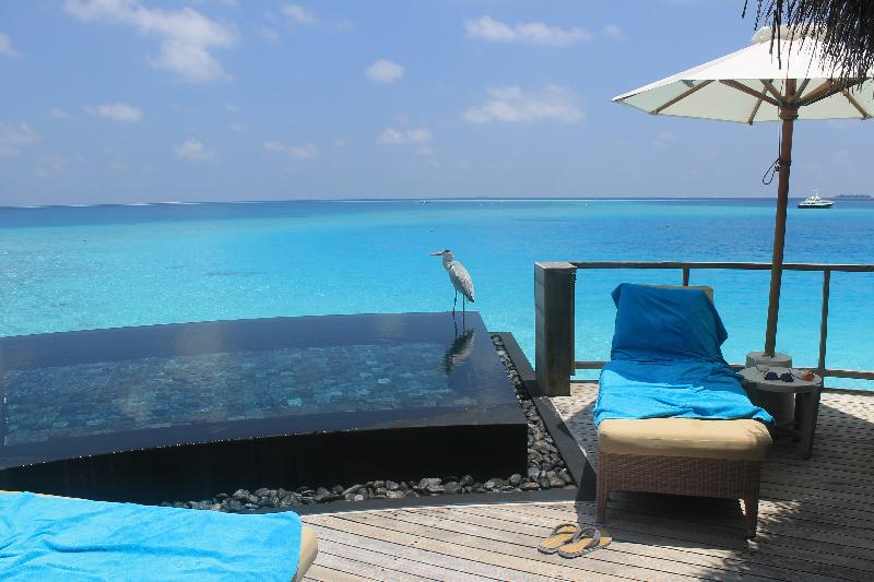 The perfect holiday!
