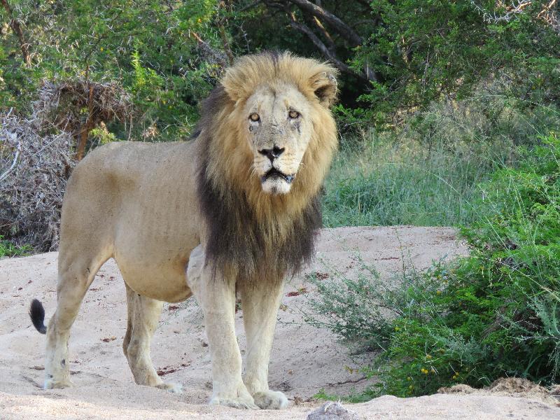 Kan verkligen rekommendera alla våra vänner att använda Go2Africa!