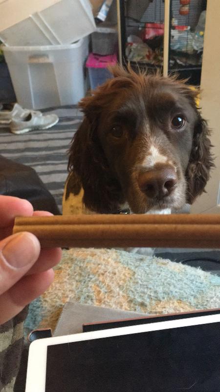 Really good quality treats and dogs love them