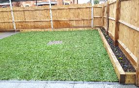 Rolawn Medallion Turf >> Rolawn Medallion Turf Reviews Rolawn Reviews Feefo Rolawn Medallion Turf >> Rolawn Medallion Turf Reviews Rolawn Reviews Feefo