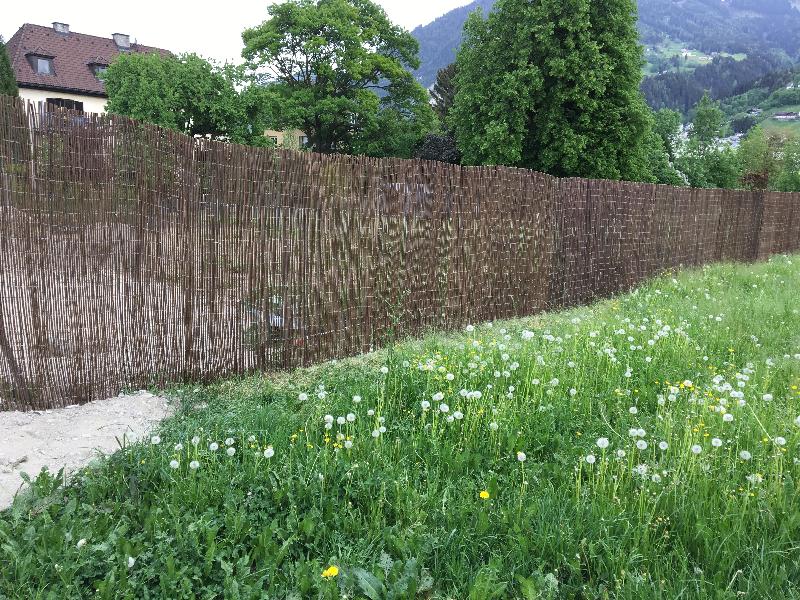 Unglaublich, aber wahr- EXCELLENT