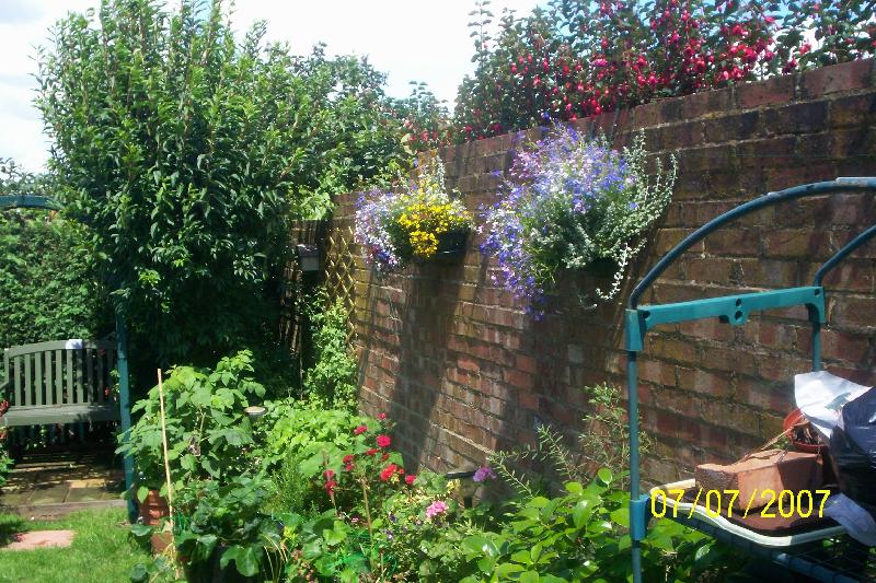 The easiest way to buy plants