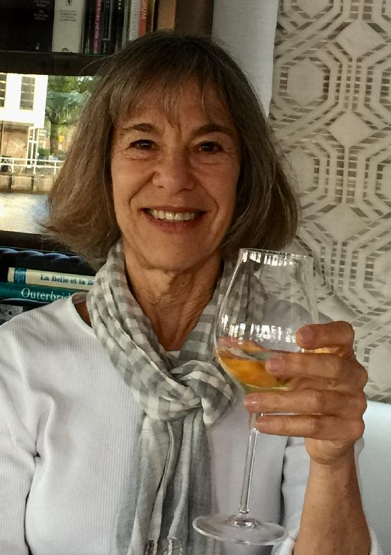 A Wonderful Week Barging In The Netherlands With The Great Panache Crew