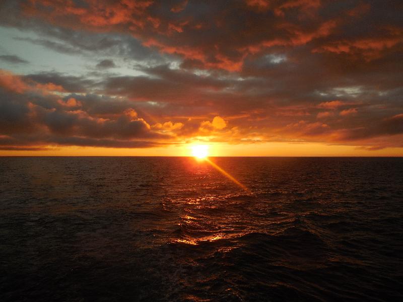 Spectacular wildlife, comfortable boat, good food, and great companions.