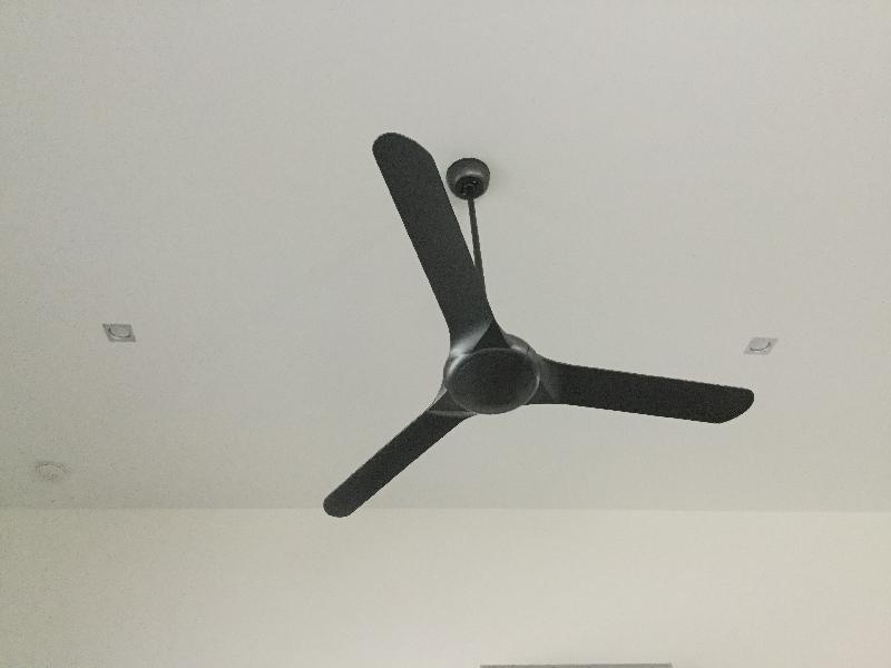 Fan is a good looker.