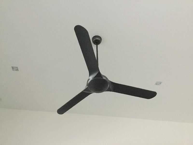 Fan is a good looker.