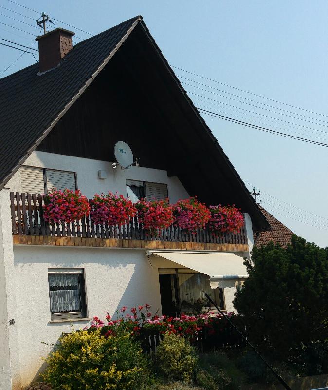 Super Sache!