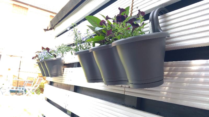 Perfect Planters!