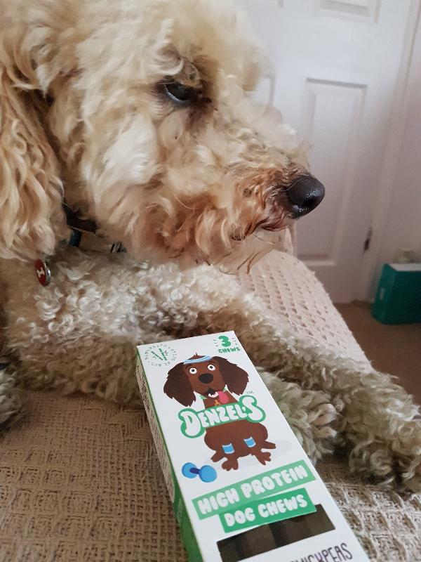 Arrived very fast.dogs love them