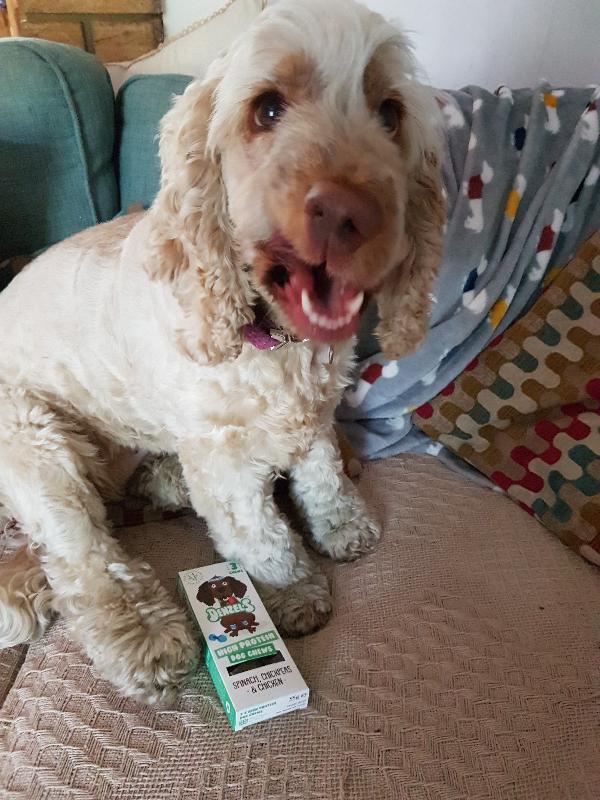 Arrived very fast.dogs love them