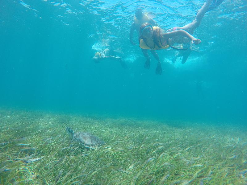 Best Snorkeling Trip in Cancun in my Opinion...