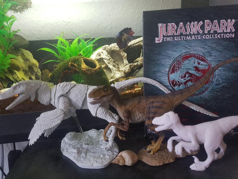 Love this sweet dinosaur ^,,^