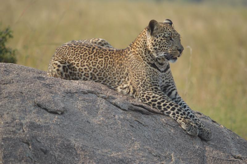 Fabulous East Africa Vacation