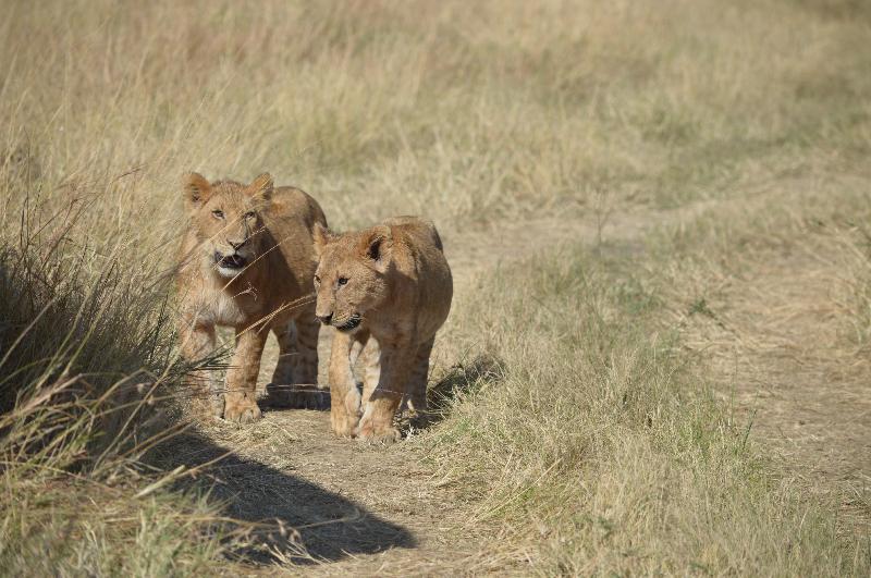 Fabulous East Africa Vacation