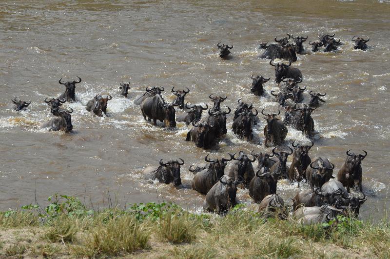 Fabulous East Africa Vacation